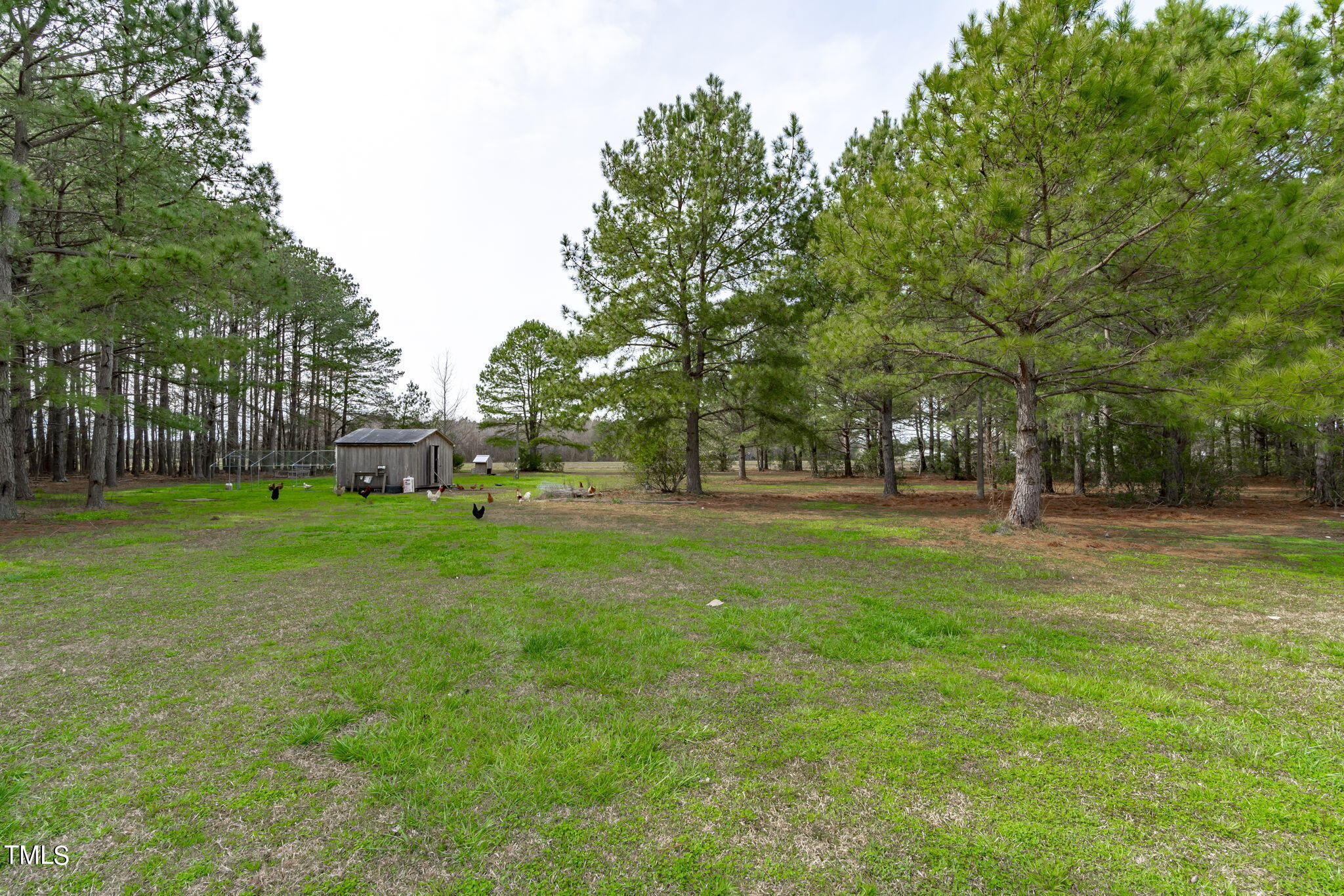 1380 Hatcher Road Selma, NC 27576 - Photo 41 of 54 B (6 of 15)