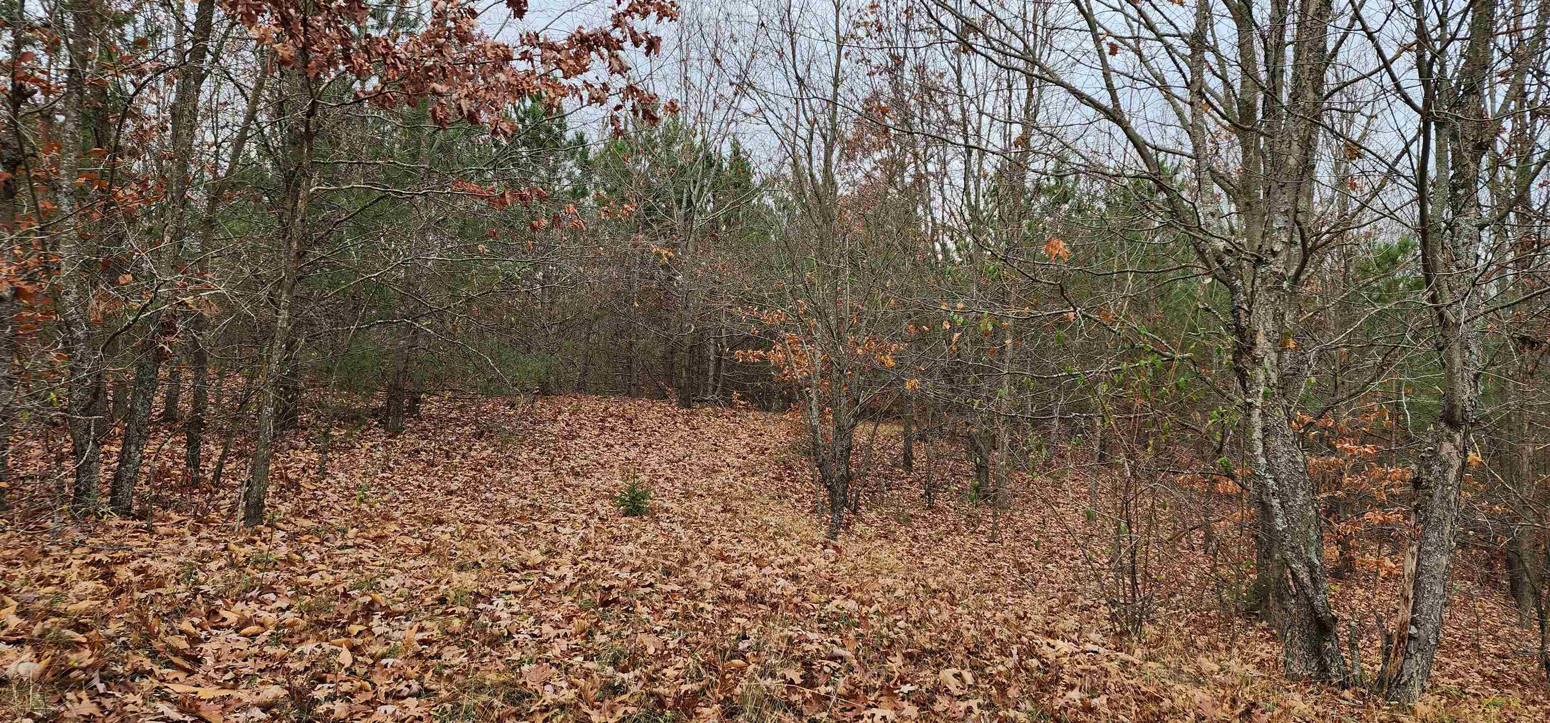 8.59 West Phelps Road Manton, MI 49663 - Photo 2 of 26