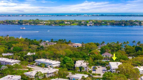 a view of a bunch of flowers in the background