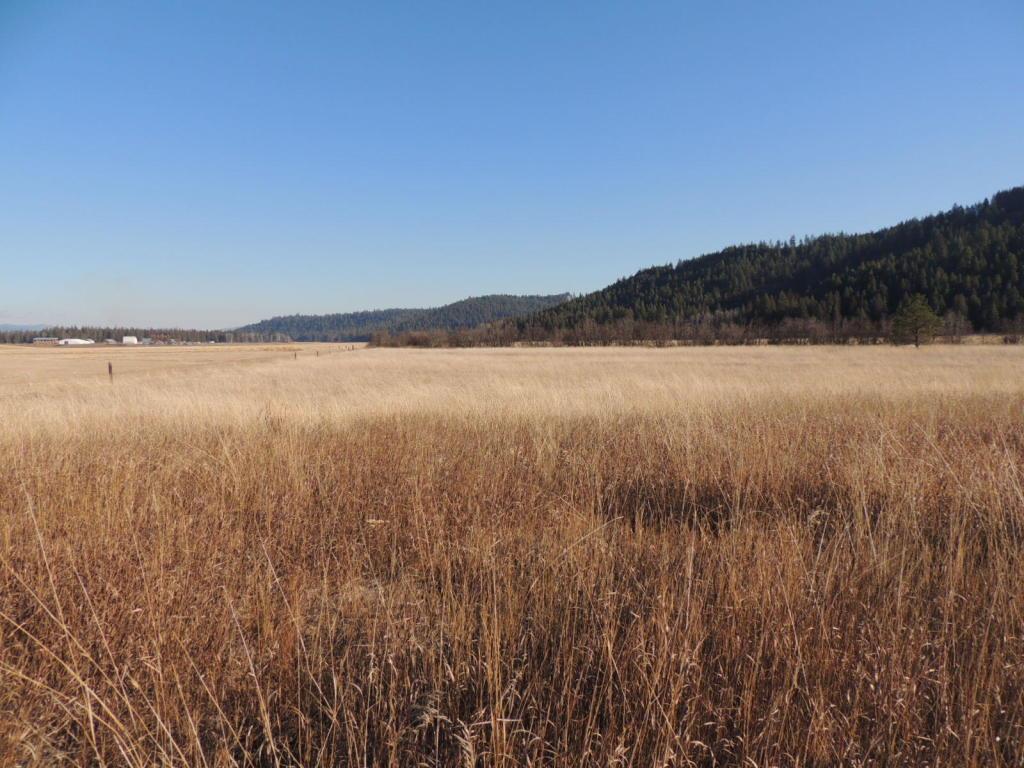 0 Springdale-Hunters Road Springdale, WA 99173 - Photo 1 of 8