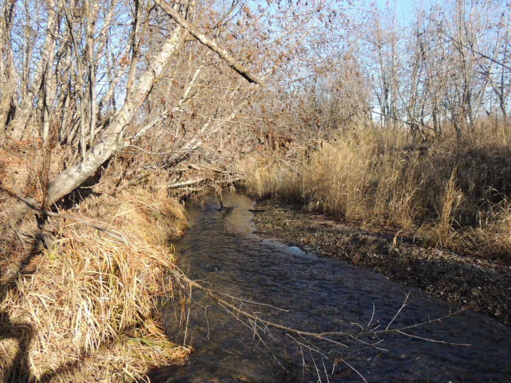 0 Springdale-Hunters Road Springdale, WA 99173 - Photo 2 of 8