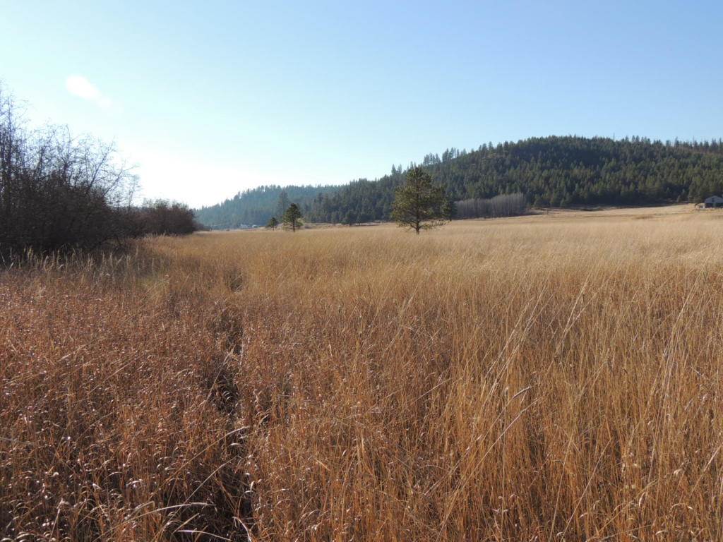 0 Springdale-Hunters Road Springdale, WA 99173 - Photo 3 of 8