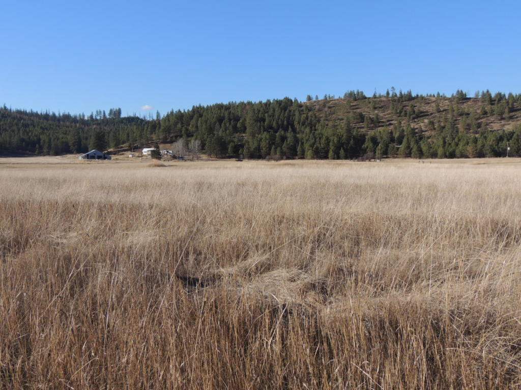 0 Springdale-Hunters Road Springdale, WA 99173 - Photo 4 of 8