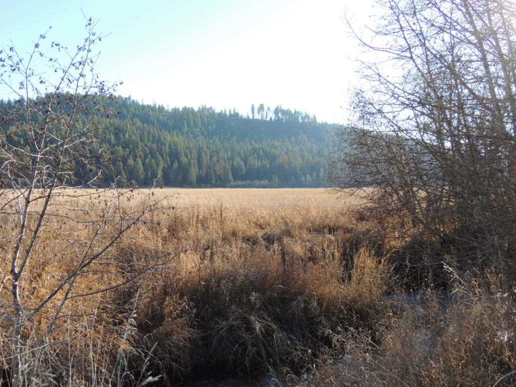 0 Springdale-Hunters Road Springdale, WA 99173 - Photo 5 of 8