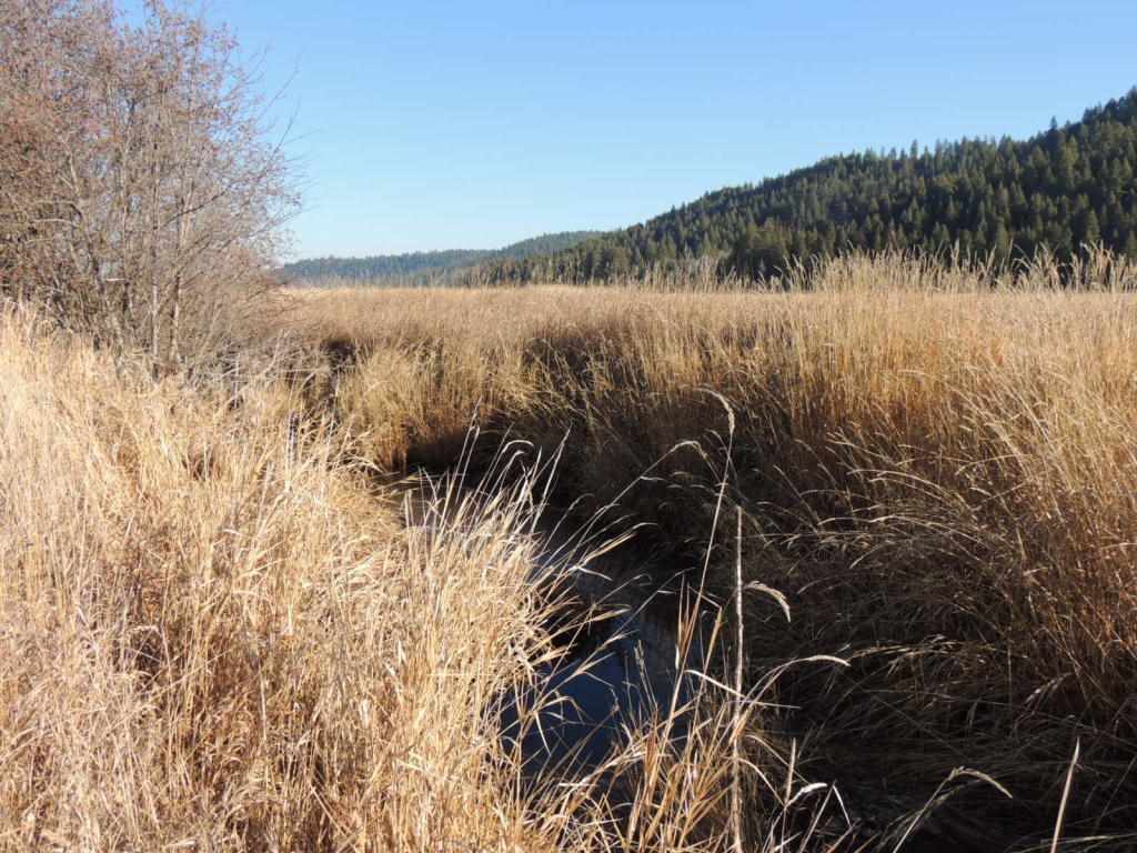 0 Springdale-Hunters Road Springdale, WA 99173 - Photo 6 of 8