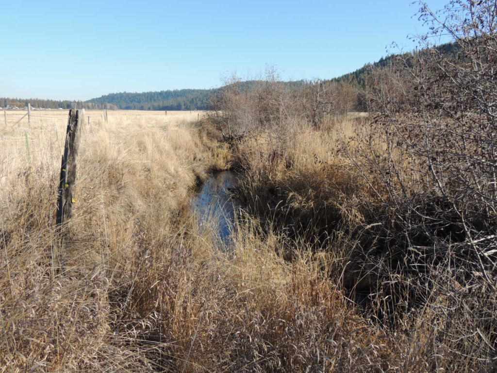 0 Springdale-Hunters Road Springdale, WA 99173 - Photo 7 of 8