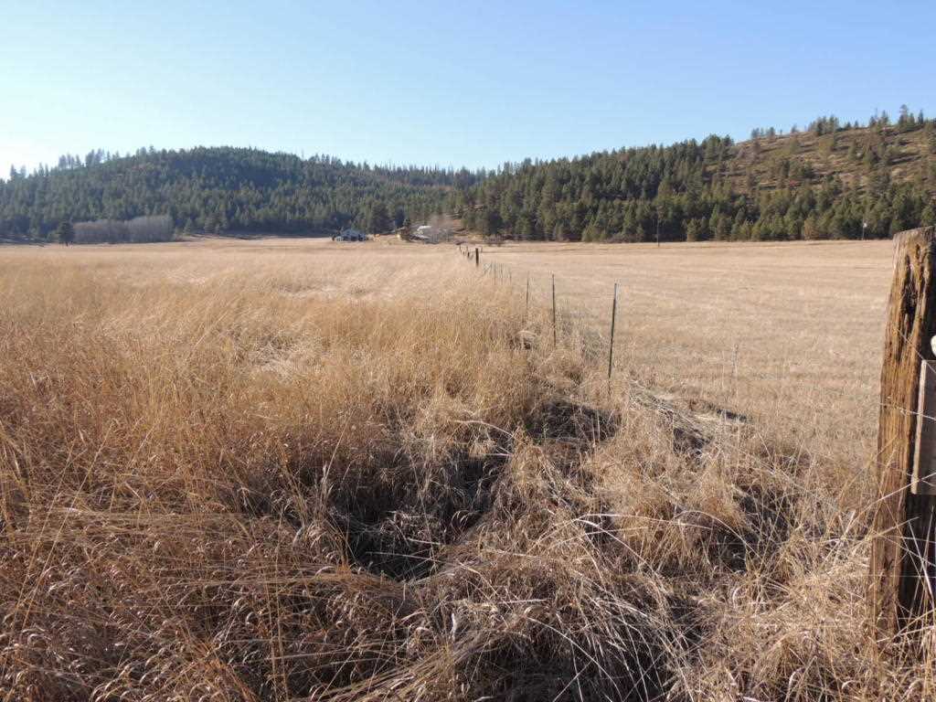 0 Springdale-Hunters Road Springdale, WA 99173 - Photo 8 of 8