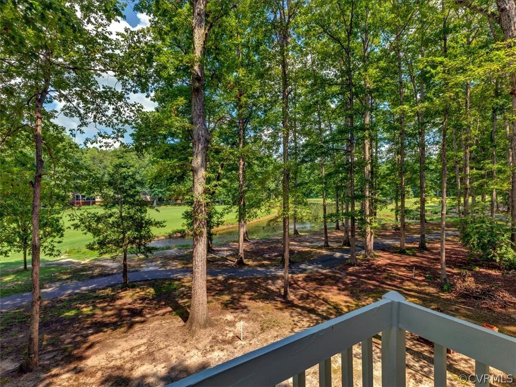 13800 Sterlings Bridge Road Midlothian, VA 23112 - Photo 25 of 31 a view of a tree in a yard