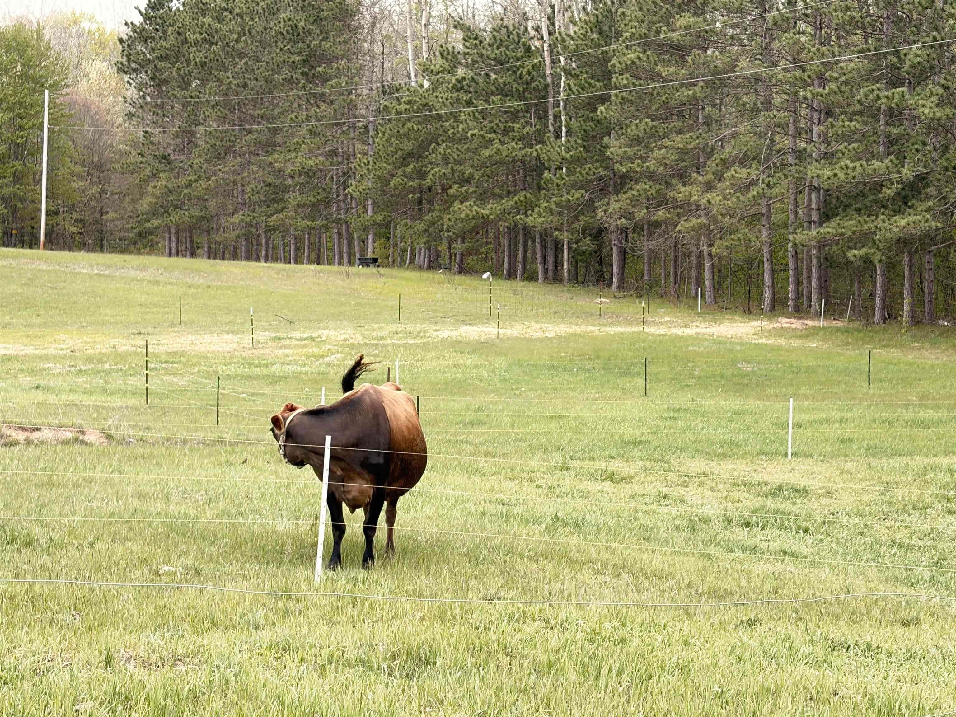 4450 Adams Road Lake, MI 48632 - Photo 48 of 67 Gallery Image 48