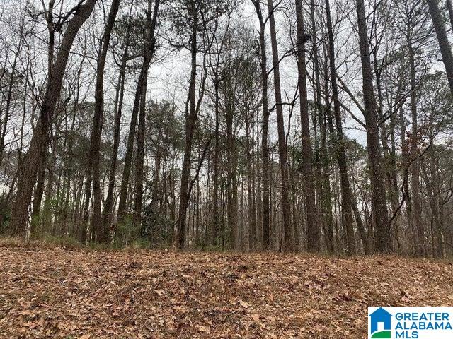 The Trace, Unit 5 Jasper, AL 35504 - Photo 1 of 1