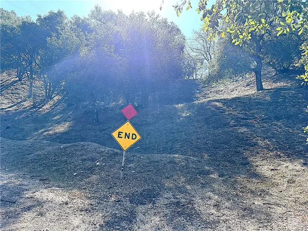 a view of a tree with back yard