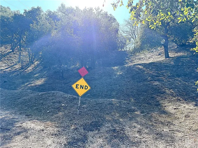 a view of a tree with back yard