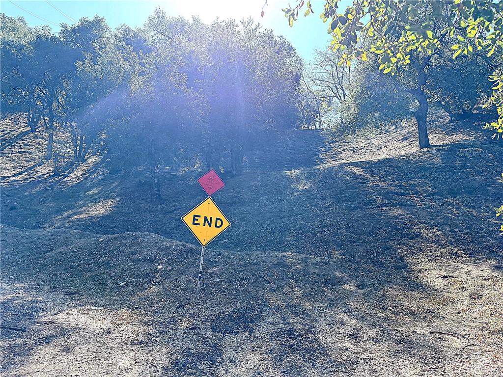 0 High Cliff Trail Tujunga, CA 91042 - Photo 11 of 19 a view of a tree with back yard