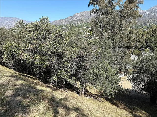 a view of a large yard with lots of bushes