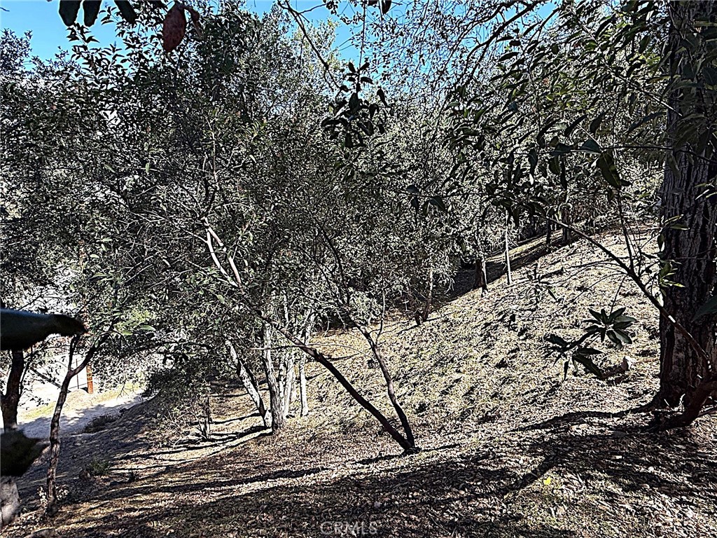 0 High Cliff Trail Tujunga, CA 91042 - Photo 18 of 19 a view of a large yard