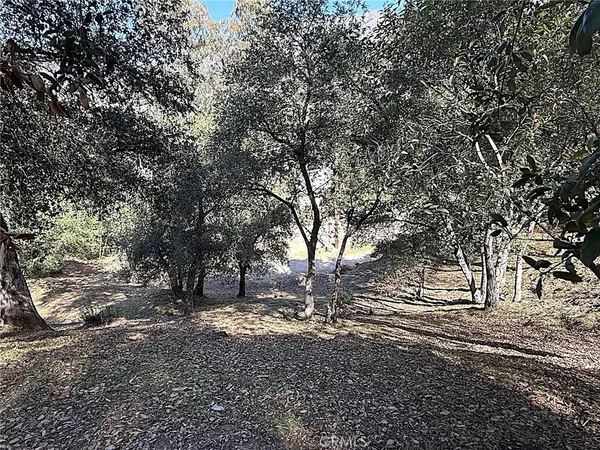 a view of dirt yard with a tree