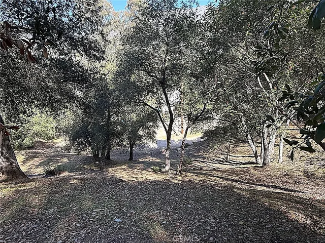 a view of dirt yard with a tree