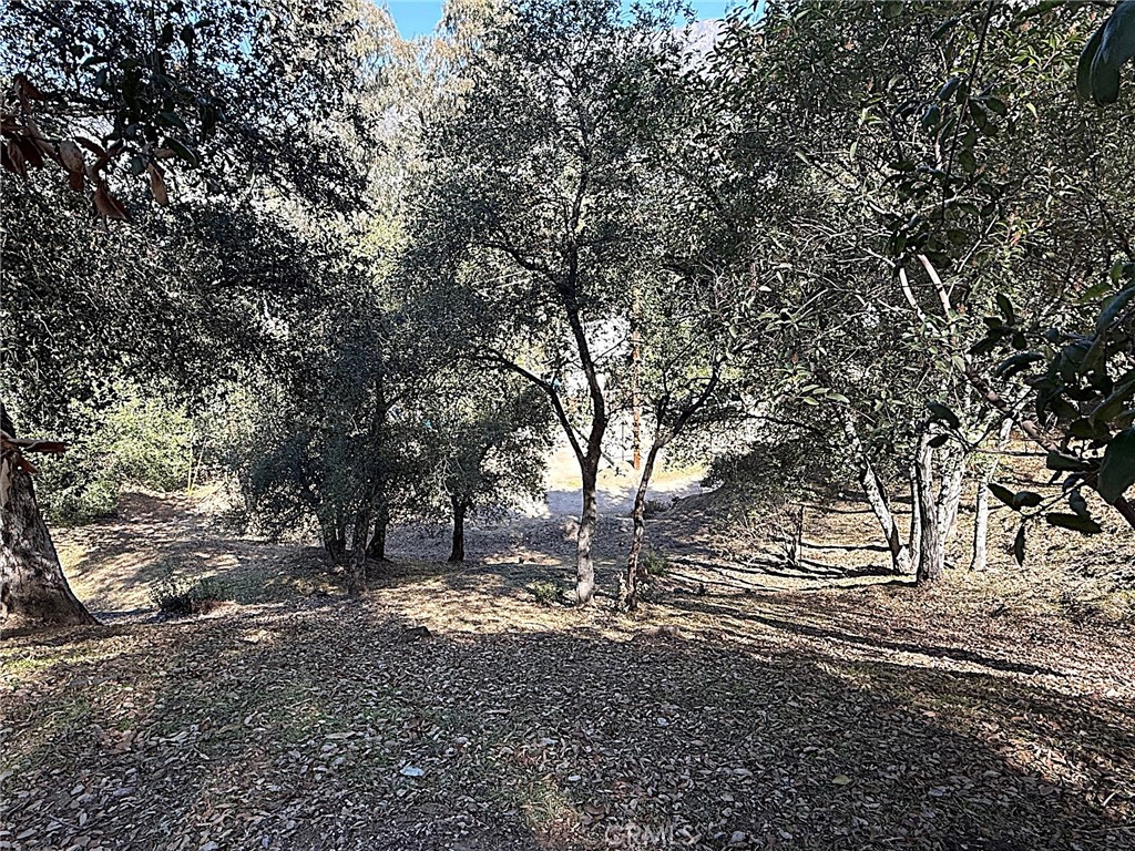 0 High Cliff Trail Tujunga, CA 91042 - Photo 19 of 19 a view of dirt yard with a tree