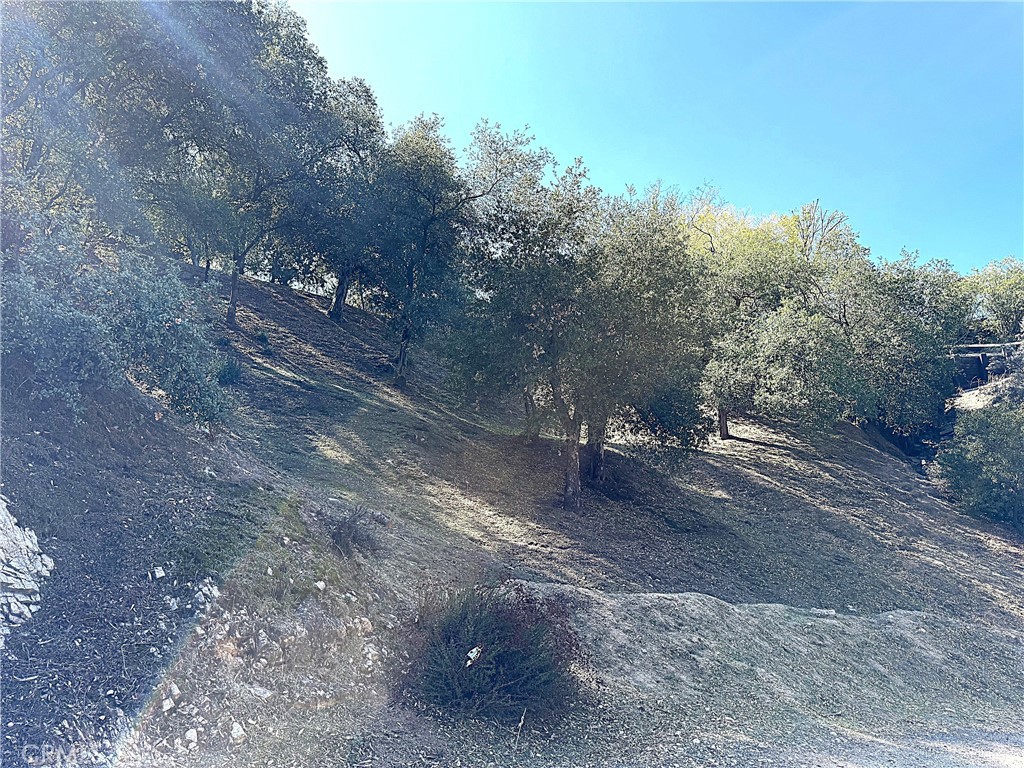 0 High Cliff Trail Tujunga, CA 91042 - Photo 10 of 19 a view of a dry yard