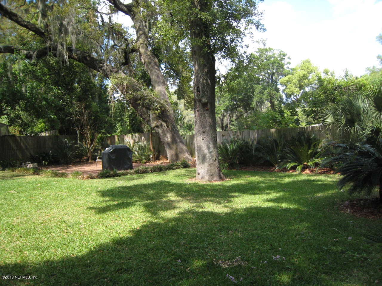 1413 Somerville Road Jacksonville, FL 32207 - Photo 12 of 13 a view of a backyard with large trees