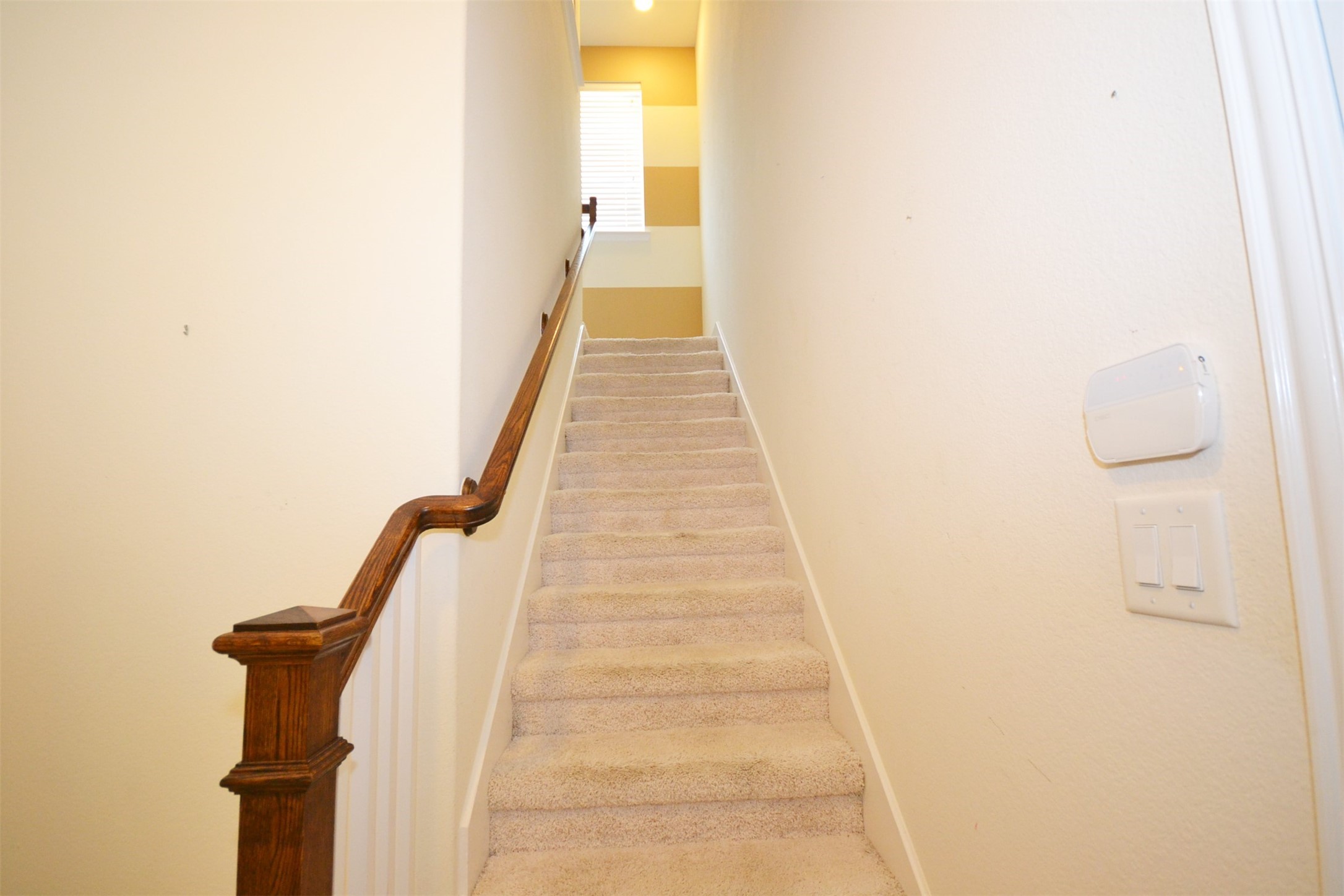 28907 Powder Ridge Drive Katy, TX 77494 - Photo 24 of 50