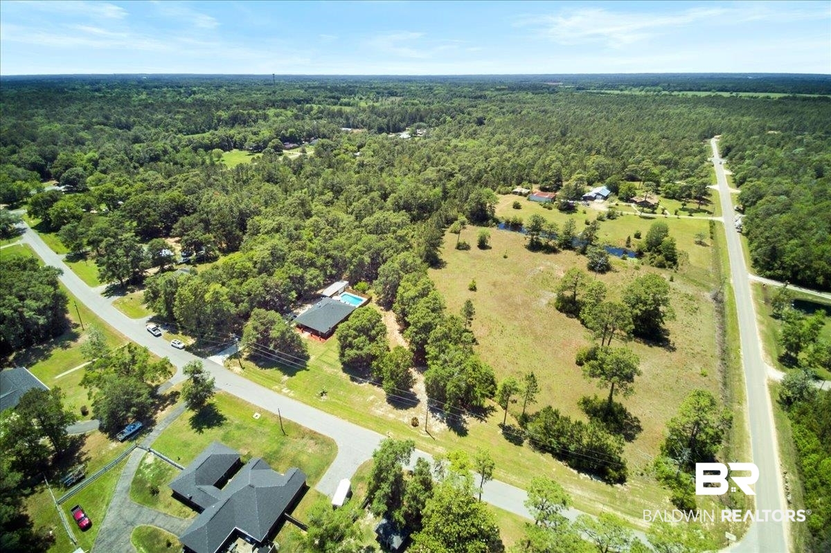 9830 Pineview Avenue Theodore, AL 36582 - Photo 45 of 54 Country Side Setting