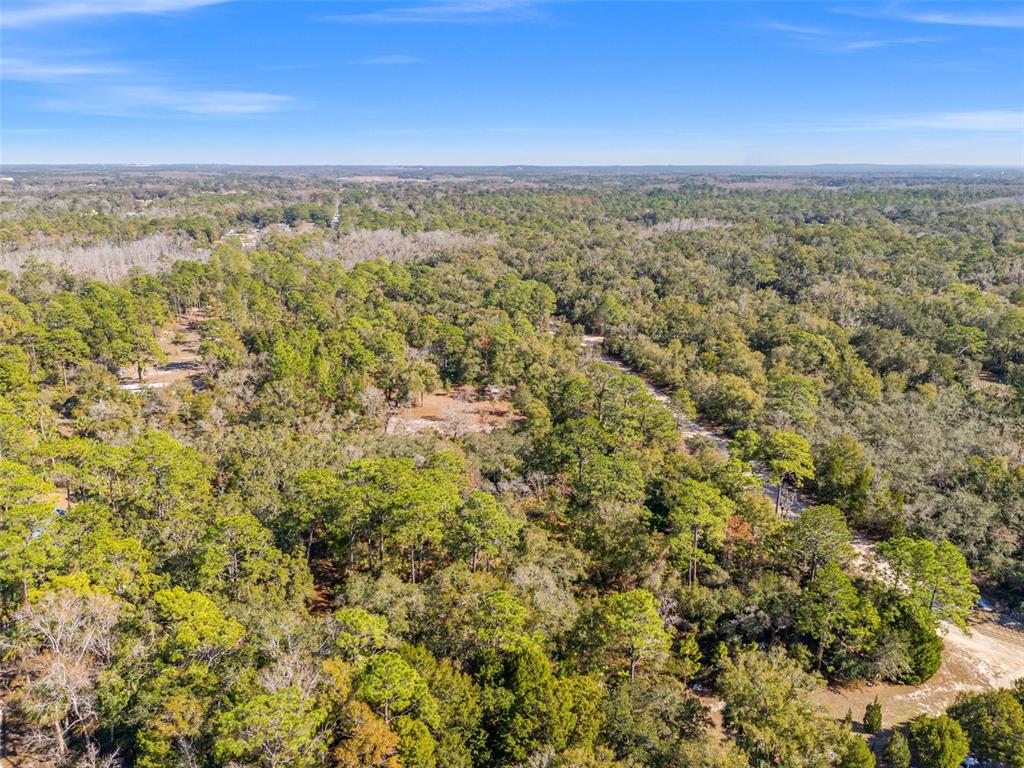 419 North Vesper Point Crystal River, FL 34429 - Photo 6 of 10 a view of a city with lush green forest