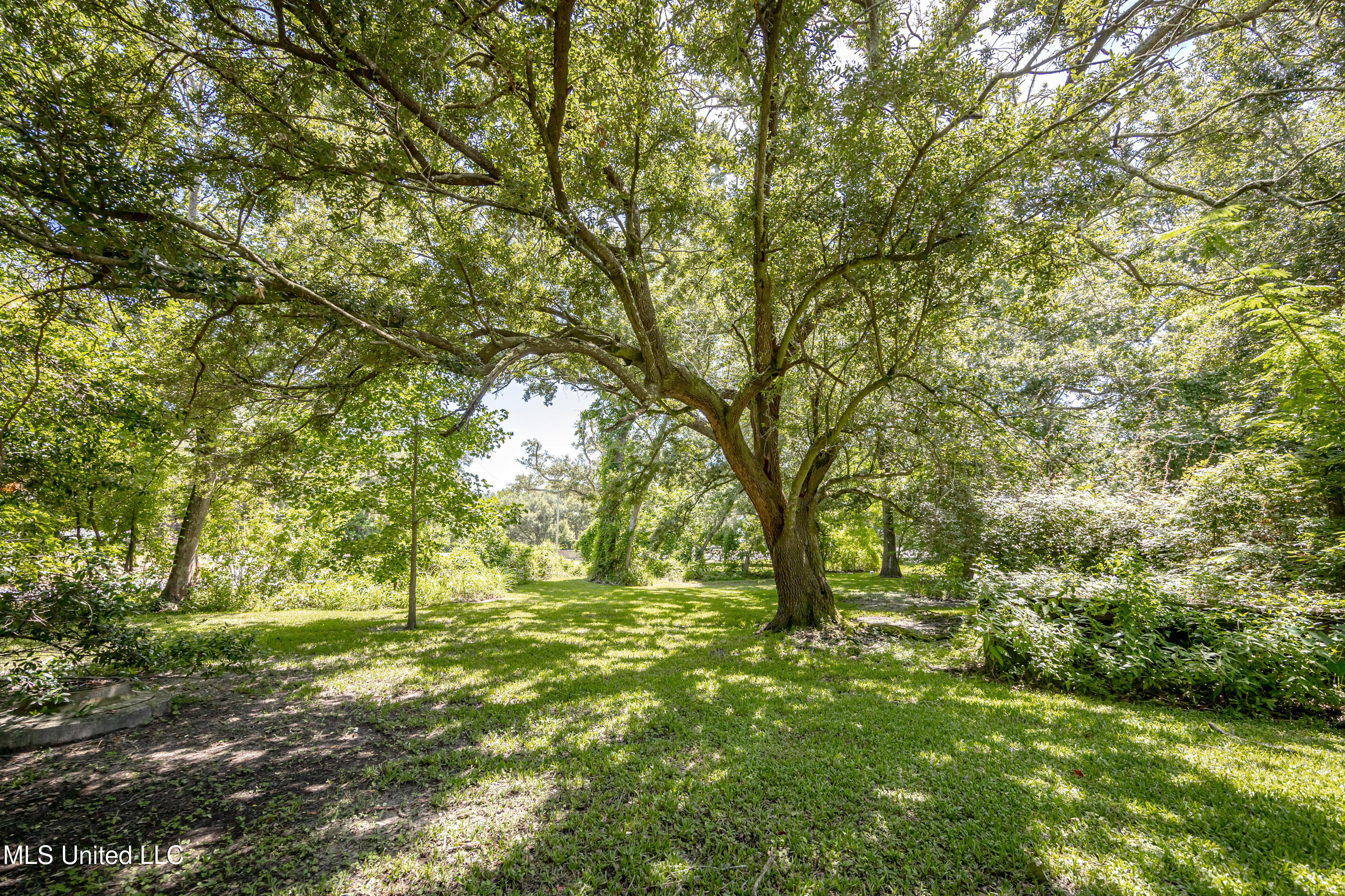 416 Jackson Avenue Ocean Springs, MS 39564 - Photo 72 of 92 IMG_4351