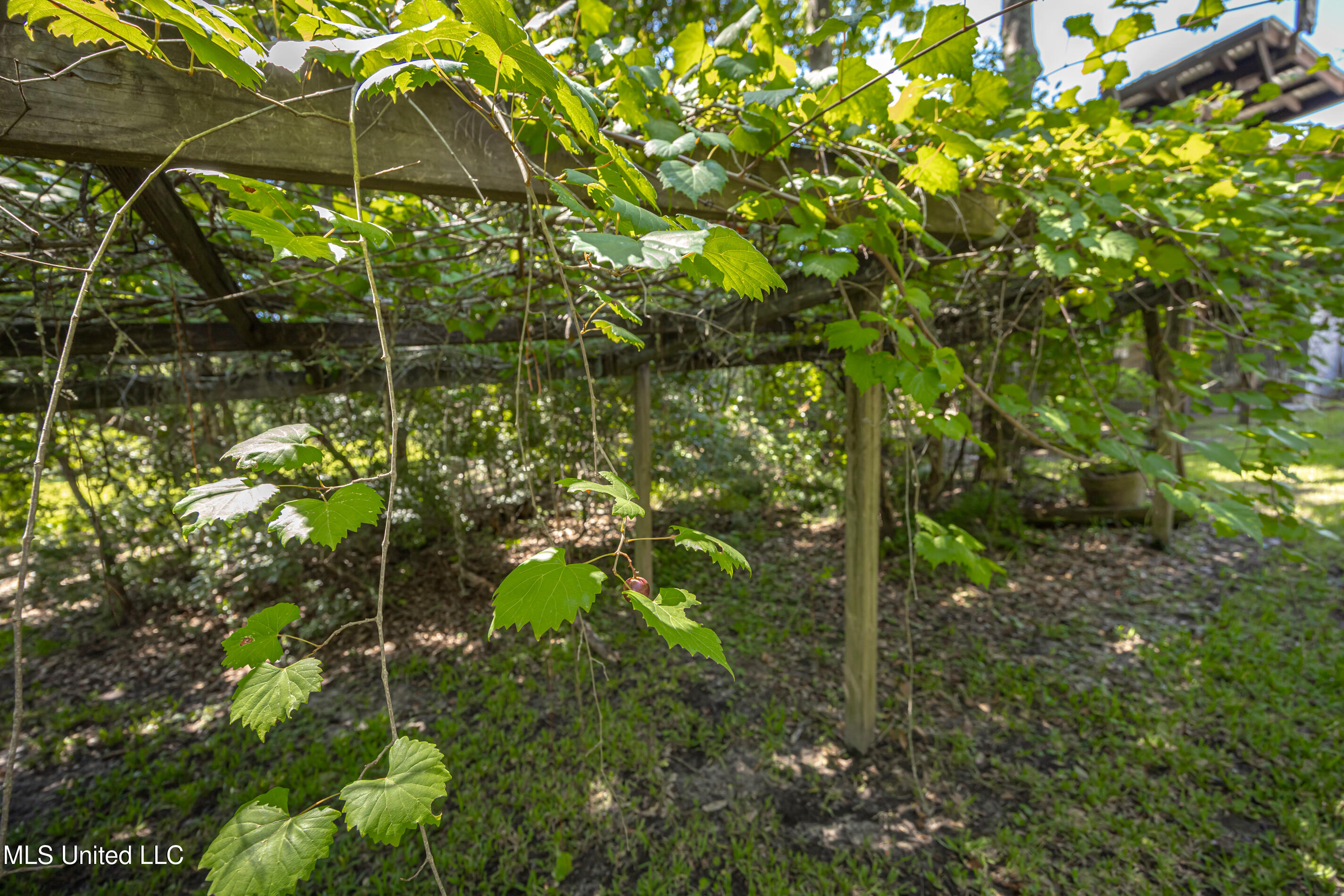 416 Jackson Avenue Ocean Springs, MS 39564 - Photo 76 of 92 IMG_4363