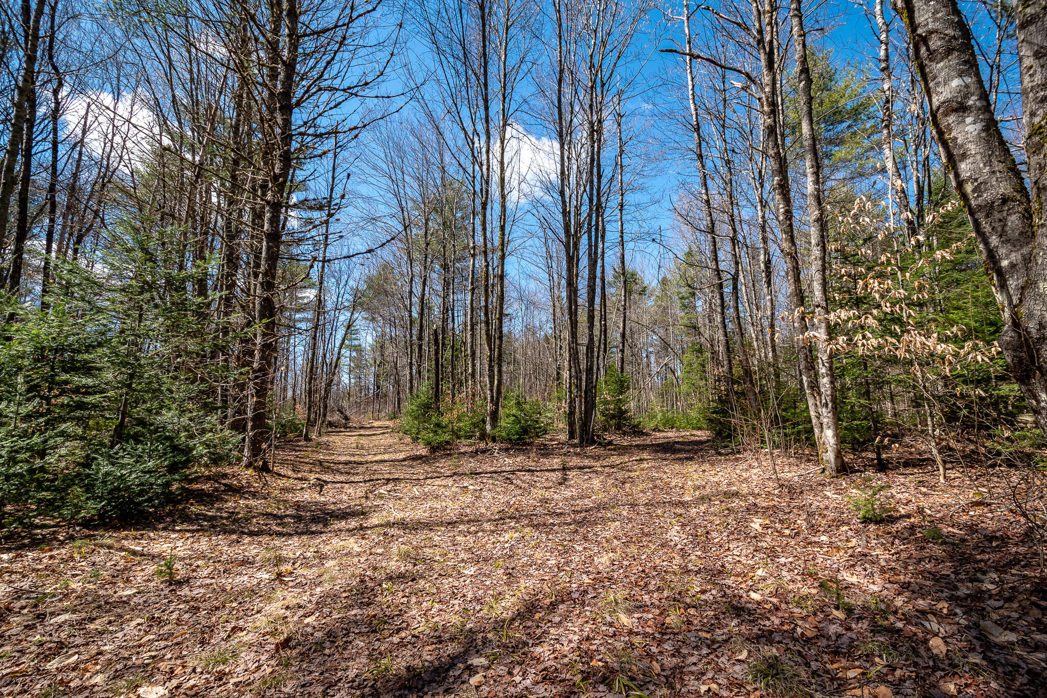 0 Bearce Road Sangerville, ME 04479 - Photo 7 of 50 DSC_0503
