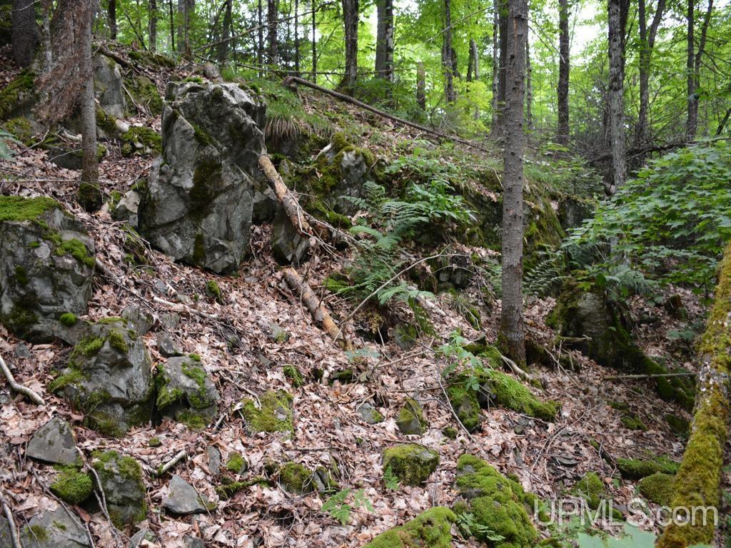 0 Gold Mine Lake Road Ishpeming, MI 49849 - Photo 15 of 19