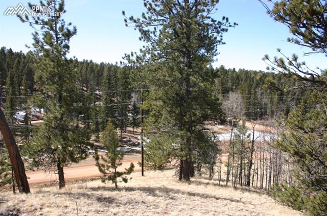 73 Arrowhead Road Florissant, CO 80816 - Photo 5 of 17