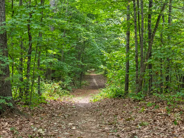 $925,000 | 207 North Auburn Road, Auburn, ME 04210