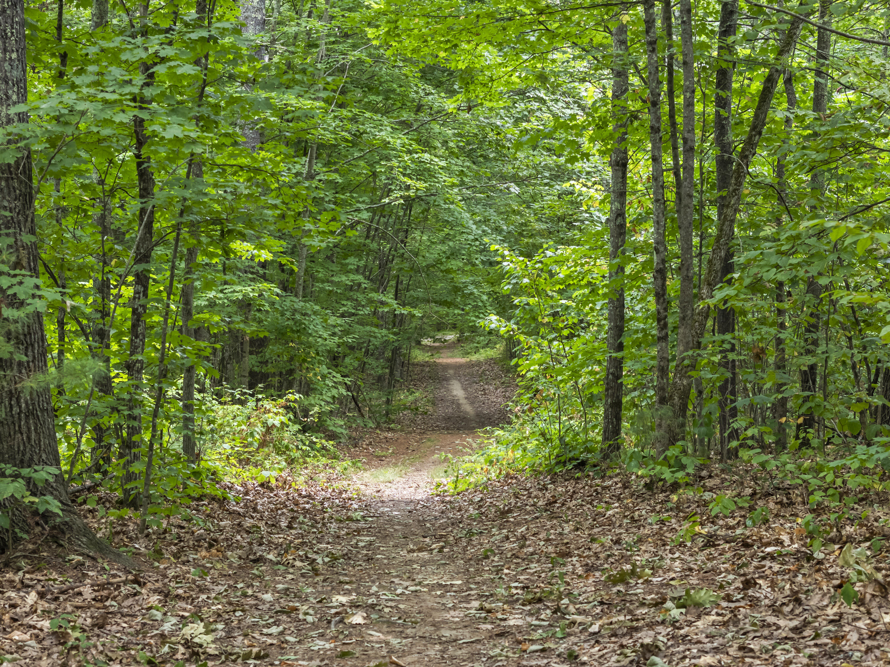 207 North Auburn Road Auburn, ME 04210 - Photo 111 of 121 207 North Auburn Rd_228