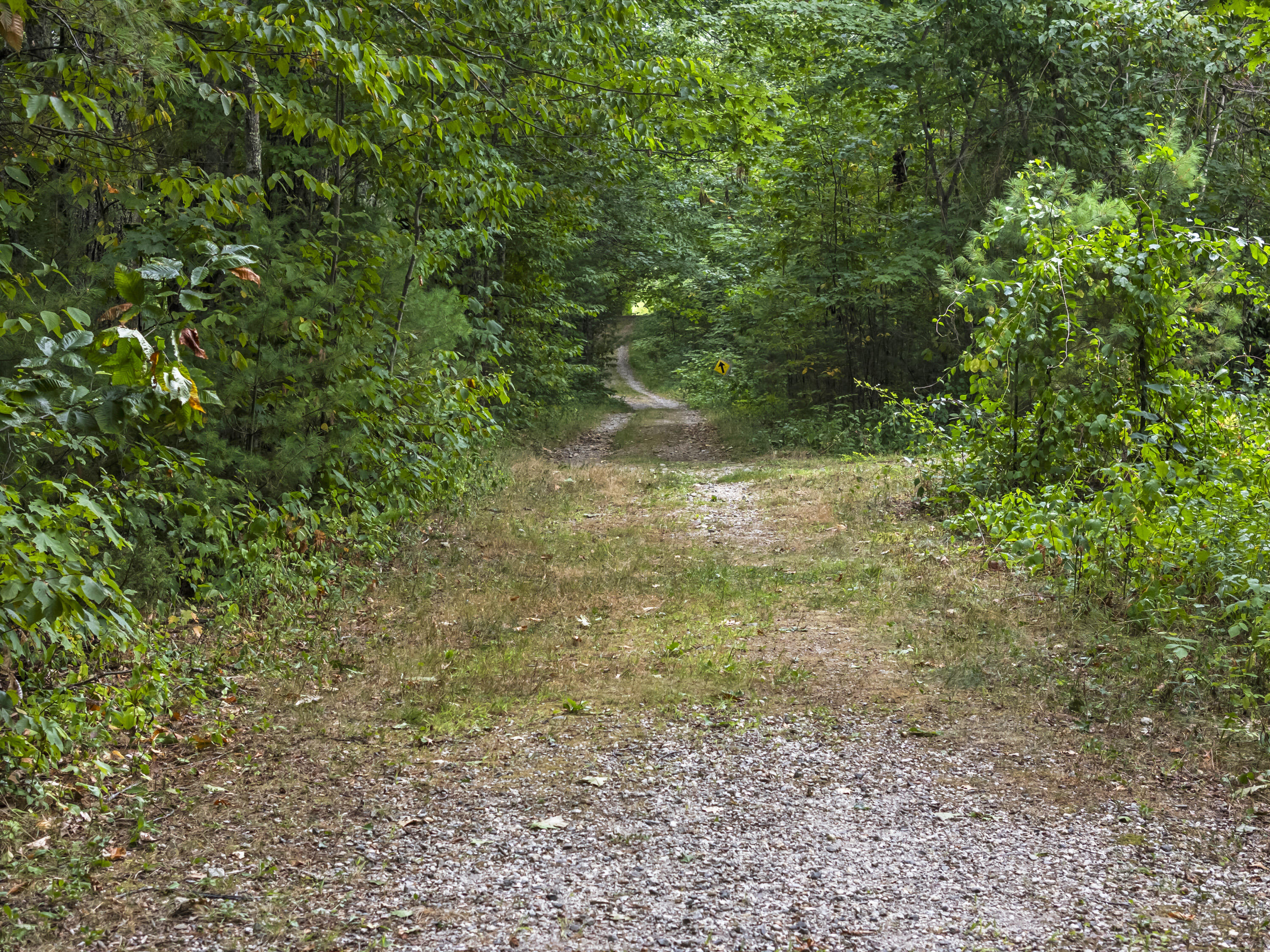 207 North Auburn Road Auburn, ME 04210 - Photo 112 of 121 207 North Auburn Rd_230