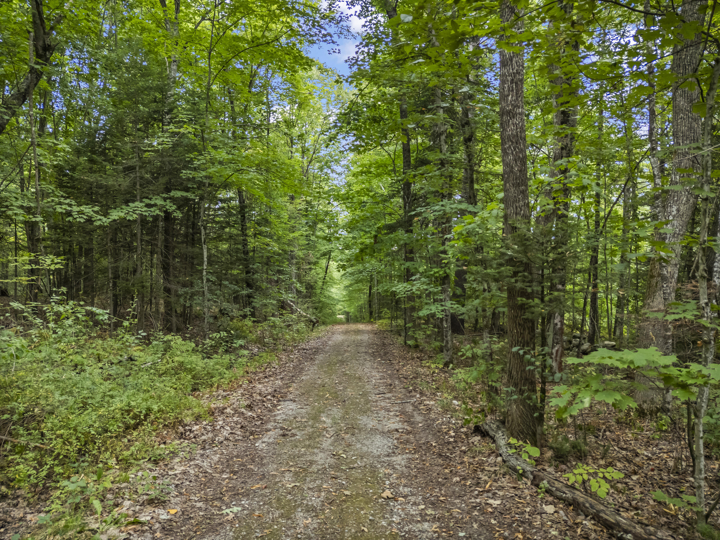 207 North Auburn Road Auburn, ME 04210 - Photo 113 of 121 207 North Auburn Rd_227
