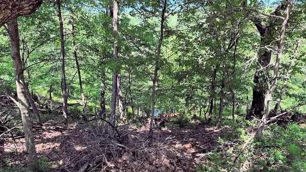 $299,000 | L23 Hillside Drive, Wisconsin Dells, WI 53965