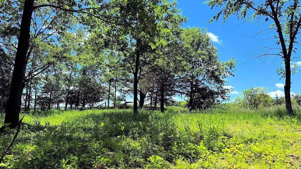 $299,000 | L23 Hillside Drive, Wisconsin Dells, WI 53965