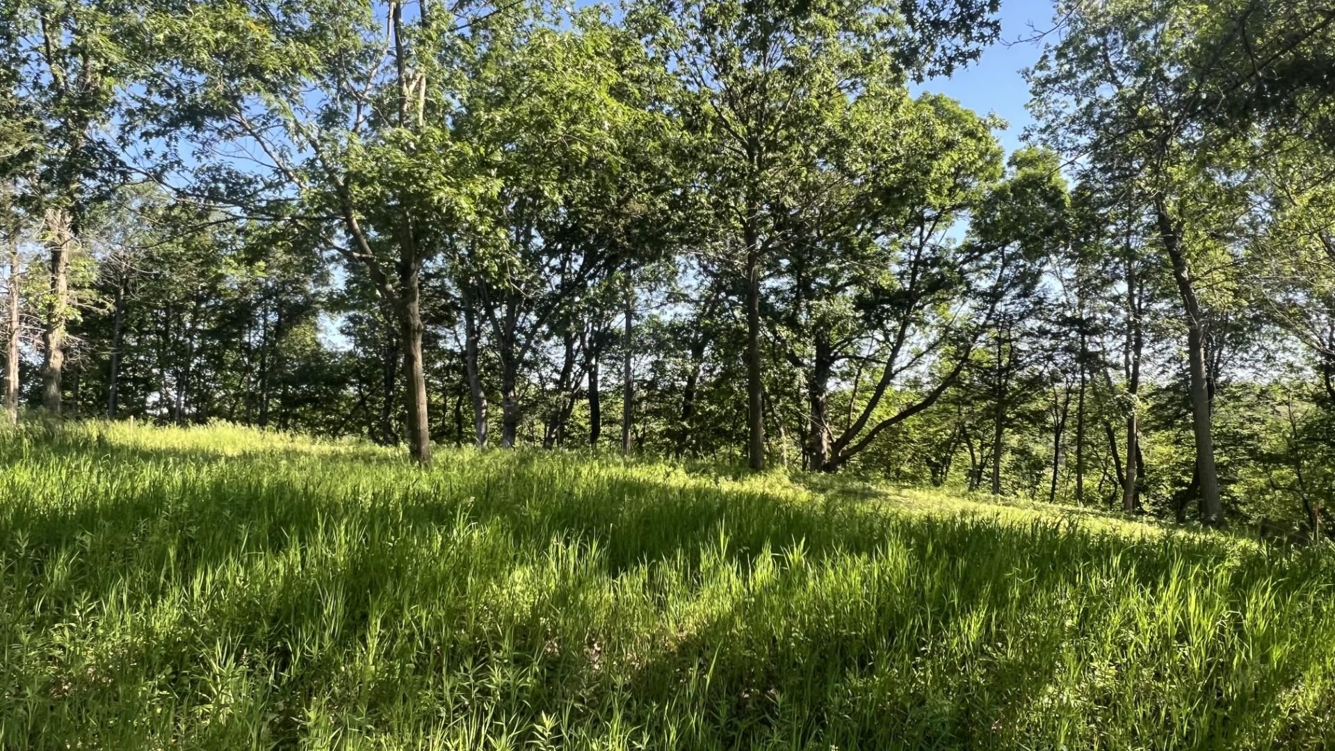 L23 Hillside Drive Wisconsin Dells, WI 53965 - Photo 10 of 38