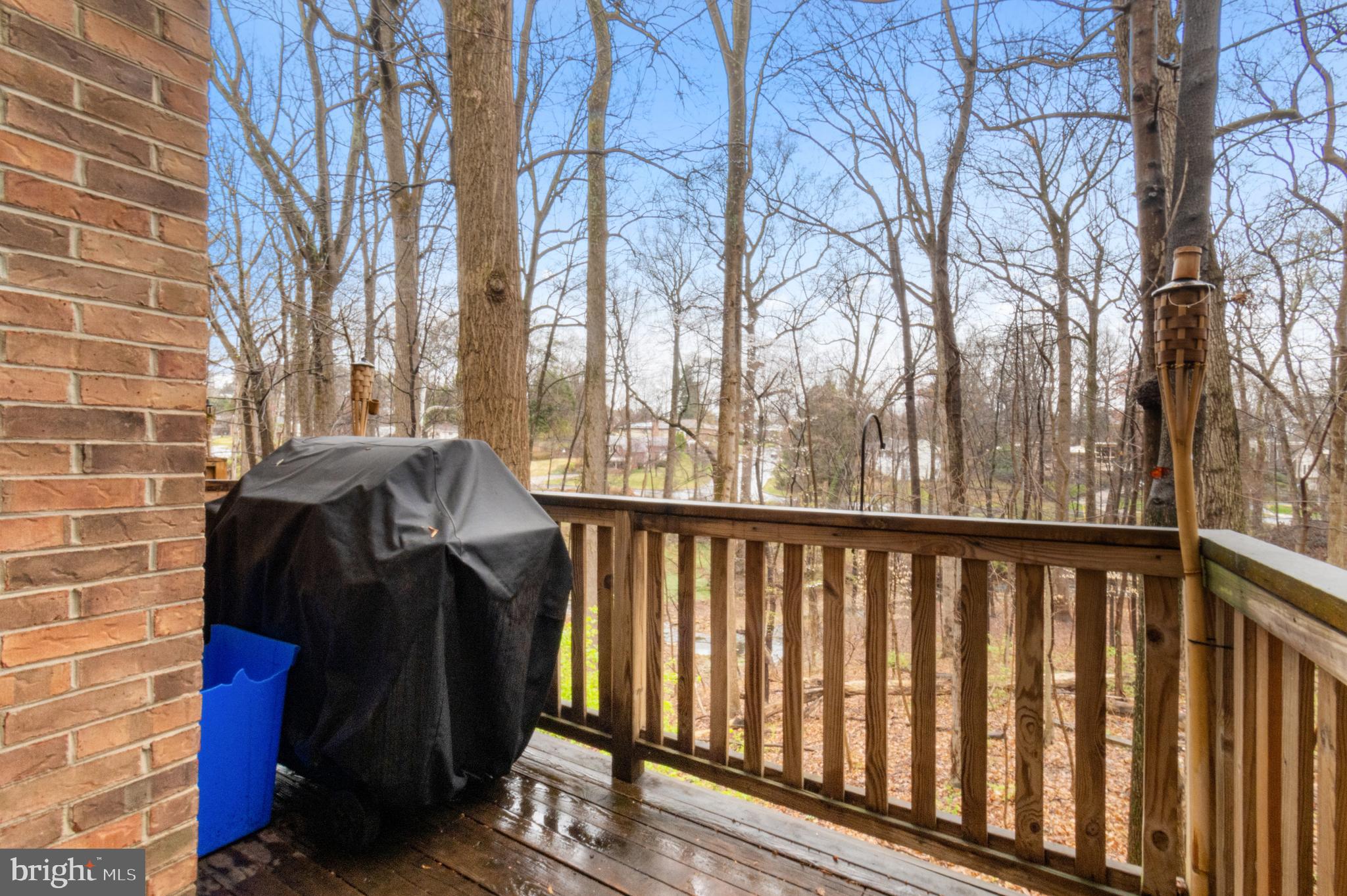 2006 Derby Ridge Lane, Unit 49 Silver Spring, MD 20910 - Photo 11 of 29 Rear Deck