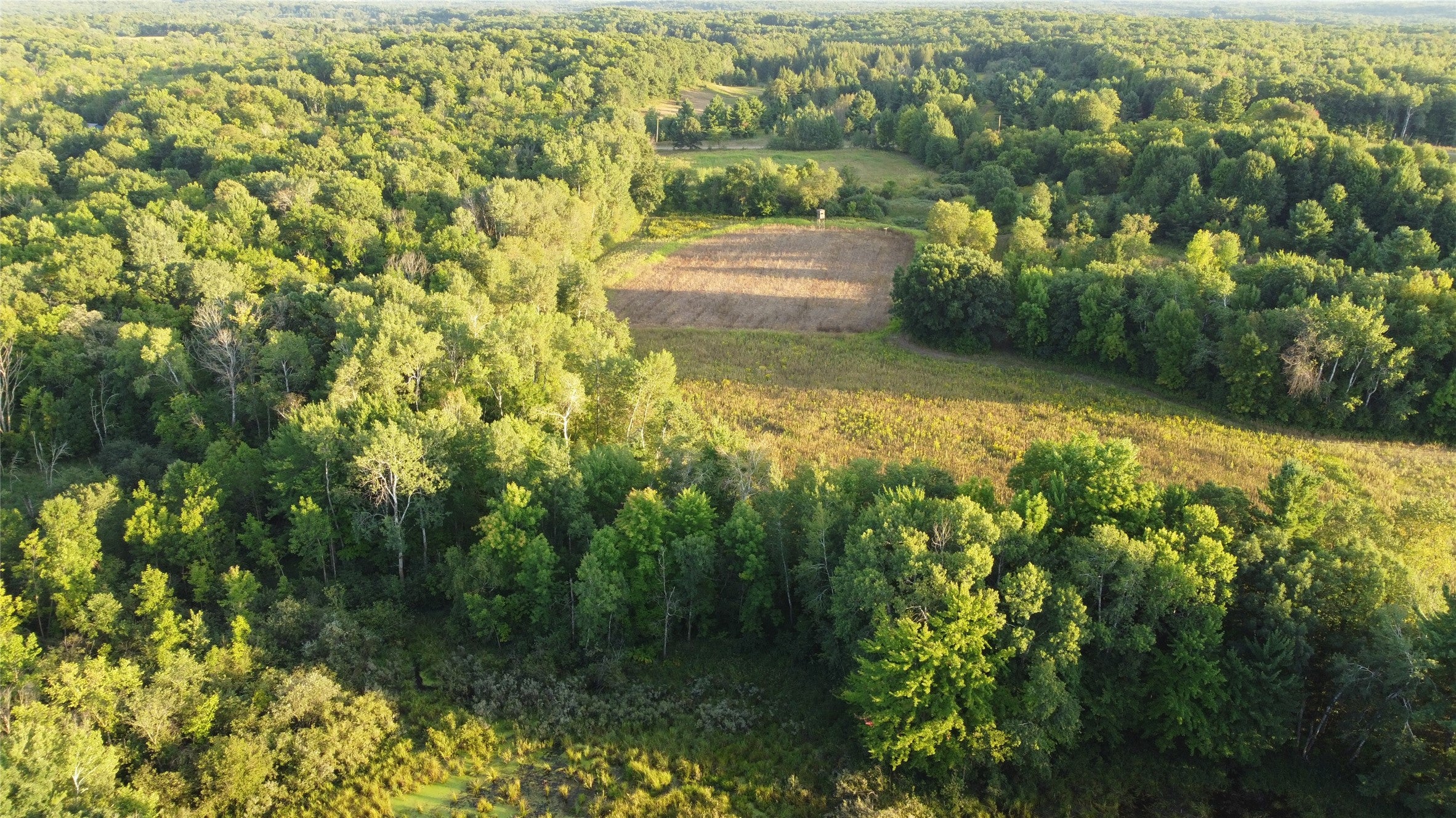 Lot 3 340th Avenue Frederic, WI 54837 - Photo 3 of 14 Gallery Image 3