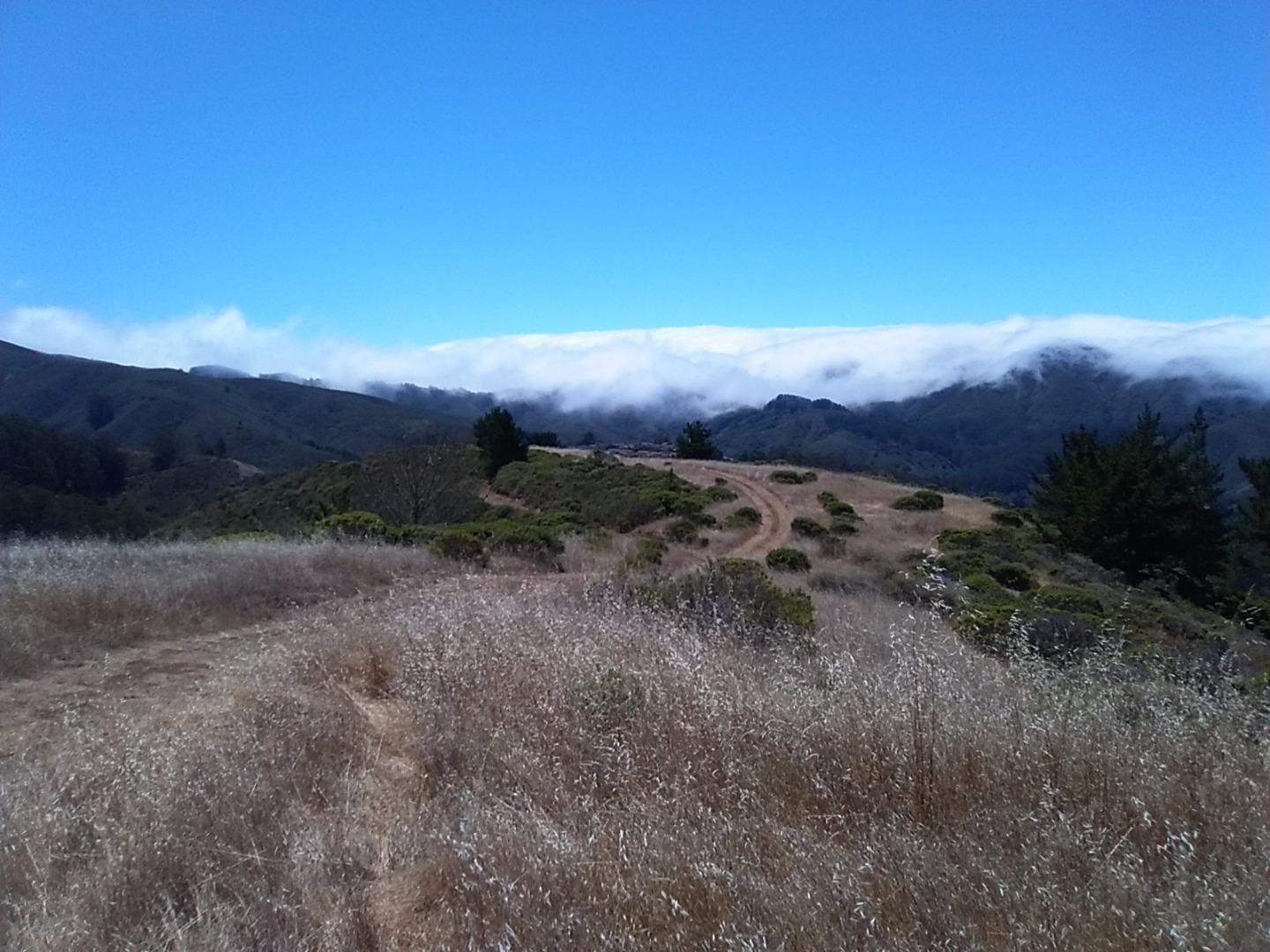 1 Picardo Ranch Pacifica, CA 94044 - Photo 18 of 26