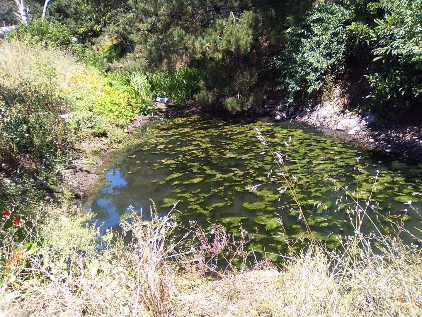 1 Picardo Ranch Pacifica, CA 94044 - Photo 24 of 26