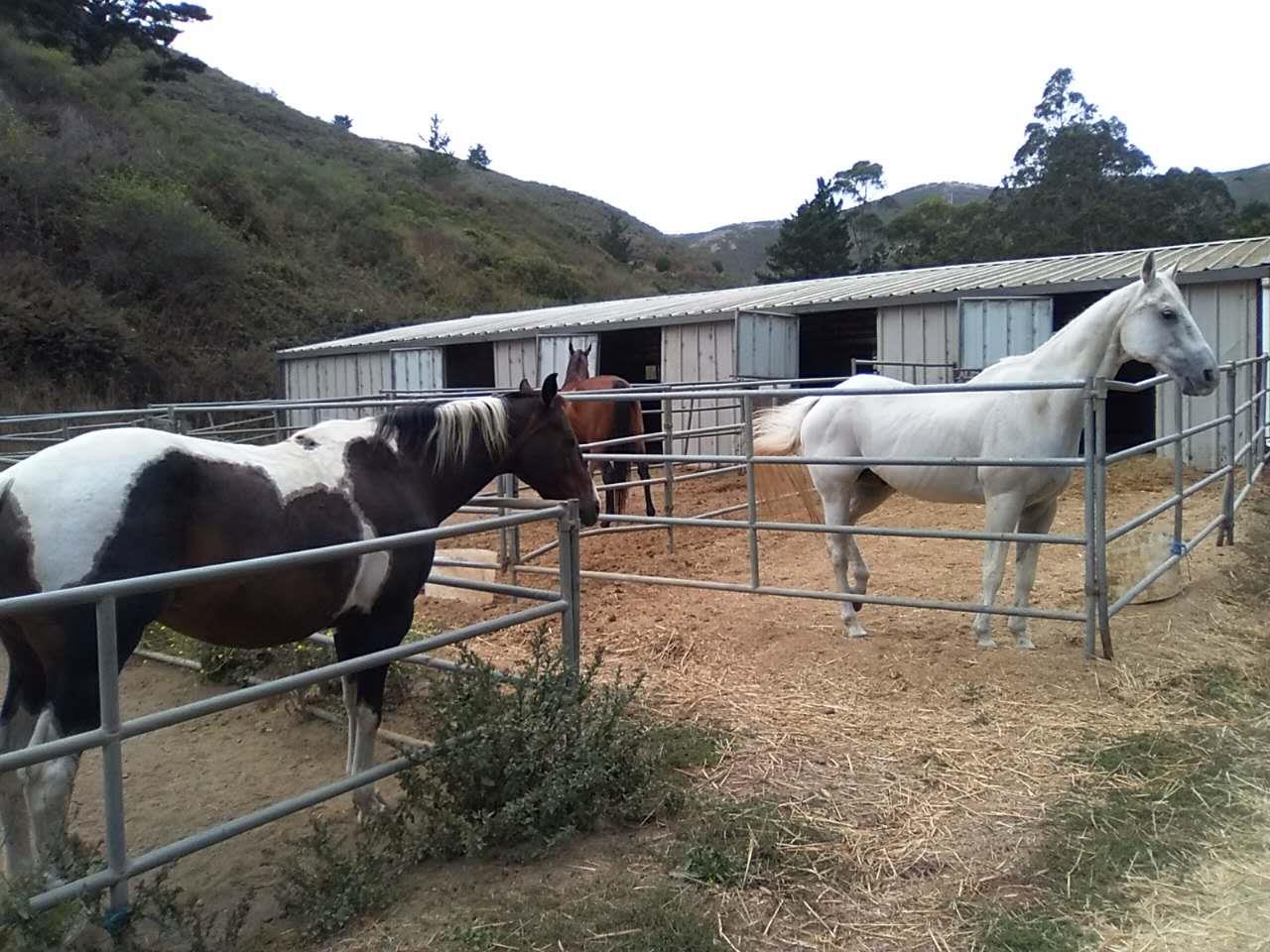 1 Picardo Ranch Pacifica, CA 94044 - Photo 5 of 26