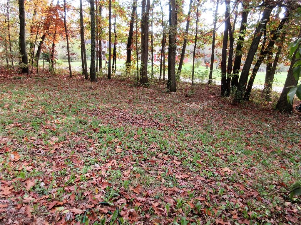 701 Sarver Road Sarver, PA 16055 - Photo 5 of 7 Yard