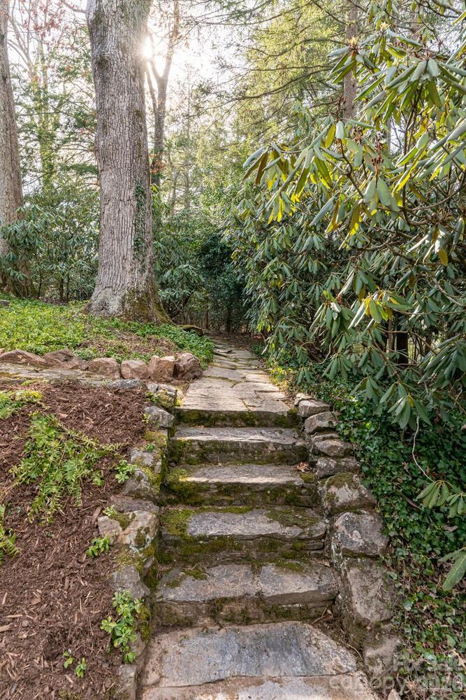 407 Vanderbilt Road Asheville, NC 28803 - Photo 45 of 48 a view of backyard with green space