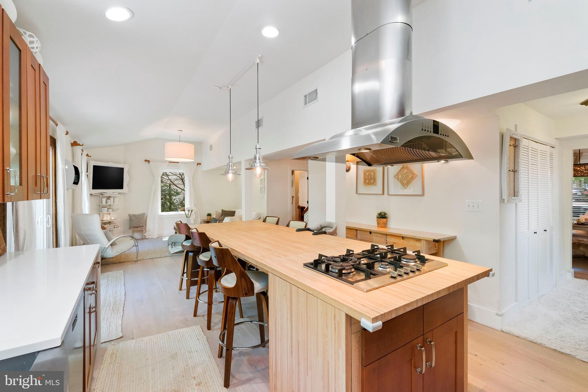 6670 Barrett Road Falls Church, VA 22042 - Photo 6 of 27 Gourmet Kitchen (3 of 3)