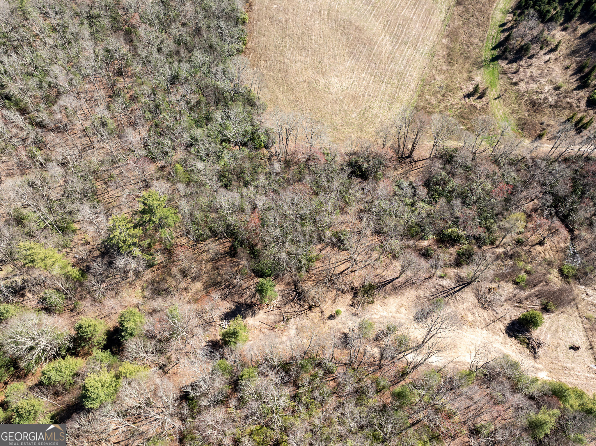 10384 Hale Ridge Road Dillard, GA 30537 - Photo 17 of 21