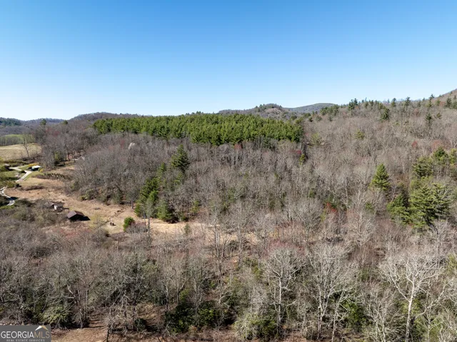 $2,000,000 | 10384 Hale Ridge Road, Dillard, GA 30537