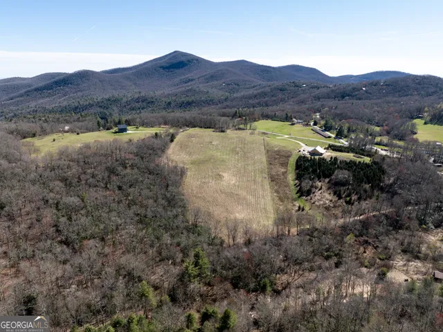 $2,000,000 | 10384 Hale Ridge Road, Dillard, GA 30537